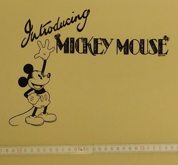 French Terry Sommersweat Disney Panel Introducing Mickey Maus natur/schwarz
