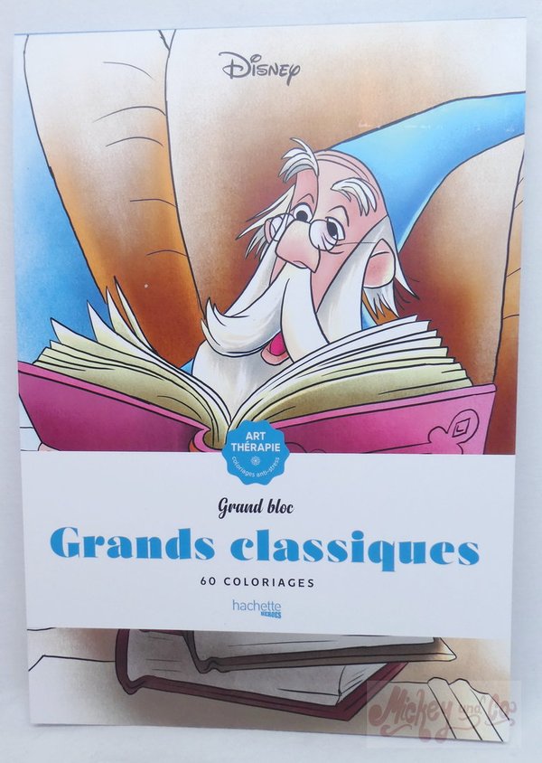 Disney Buch Hachette Ausmalbuch Die großen Klassiker