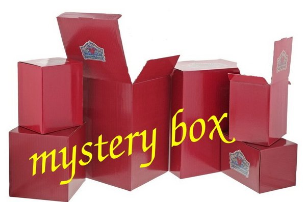 Disney Traditions Msytery Box: klein 1 + 5€ Gutschein